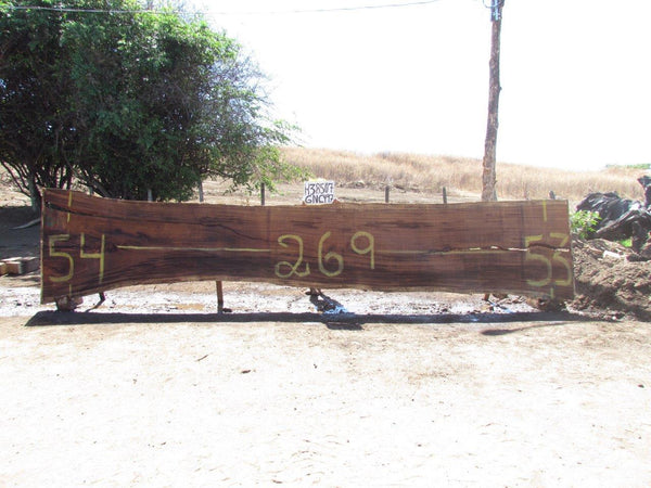 Image of PAROTA - 269x54x2 Inches - K38507GNC - a live edge PAROTA slab, 269 Inches long, 54 Inches wide, and 2 Inches thick.