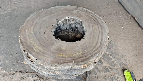 Image of PAROTA - 49x46x15 Inches - M19089GNC - a live edge PAROTA slab, 49 Inches long, 46 Inches wide, and 15 Inches thick.