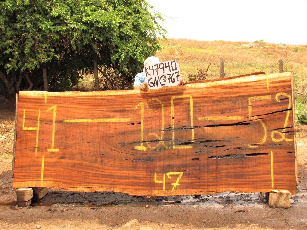 Image of PAROTA - 120x47x2 Inches - K47940GNC - a live edge PAROTA slab, 120 Inches long, 47 Inches wide, and 2 Inches thick.