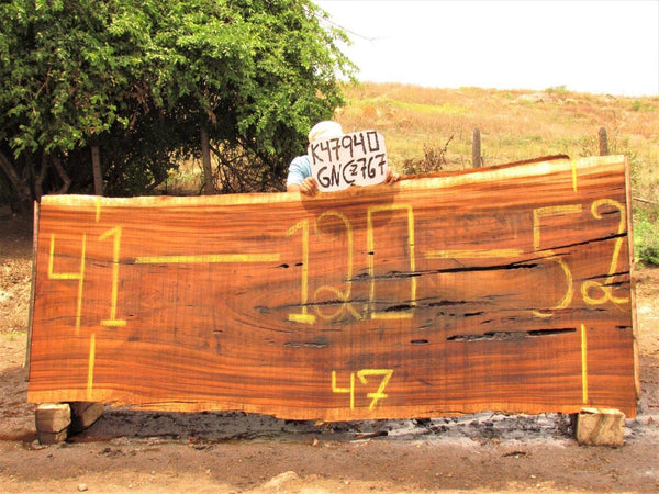 Image of PAROTA - 120x47x2 Inches - K47940GNC - a live edge PAROTA slab, 120 Inches long, 47 Inches wide, and 2 Inches thick.