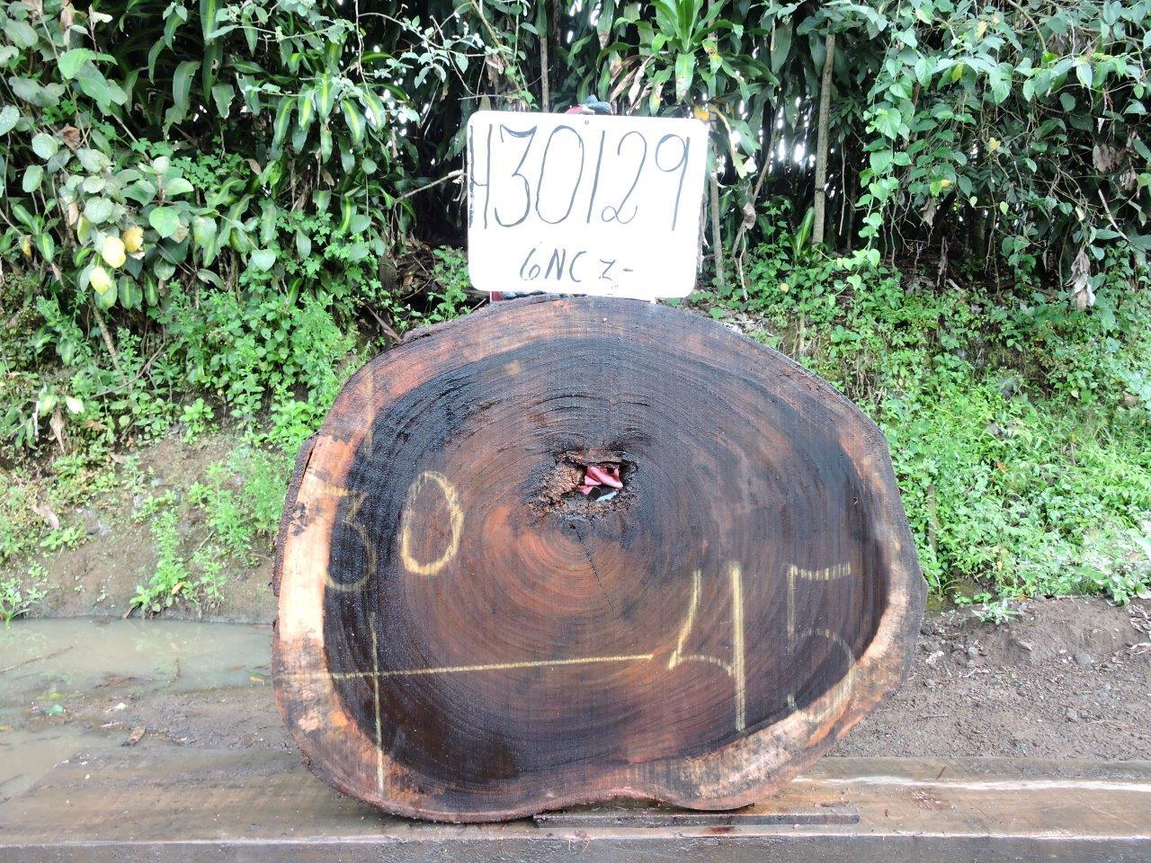 Image of PAROTA - 45x30x2 Inches - H30129GNC - a live edge PAROTA slab, 45 Inches long, 30 Inches wide, and 2 Inches thick.