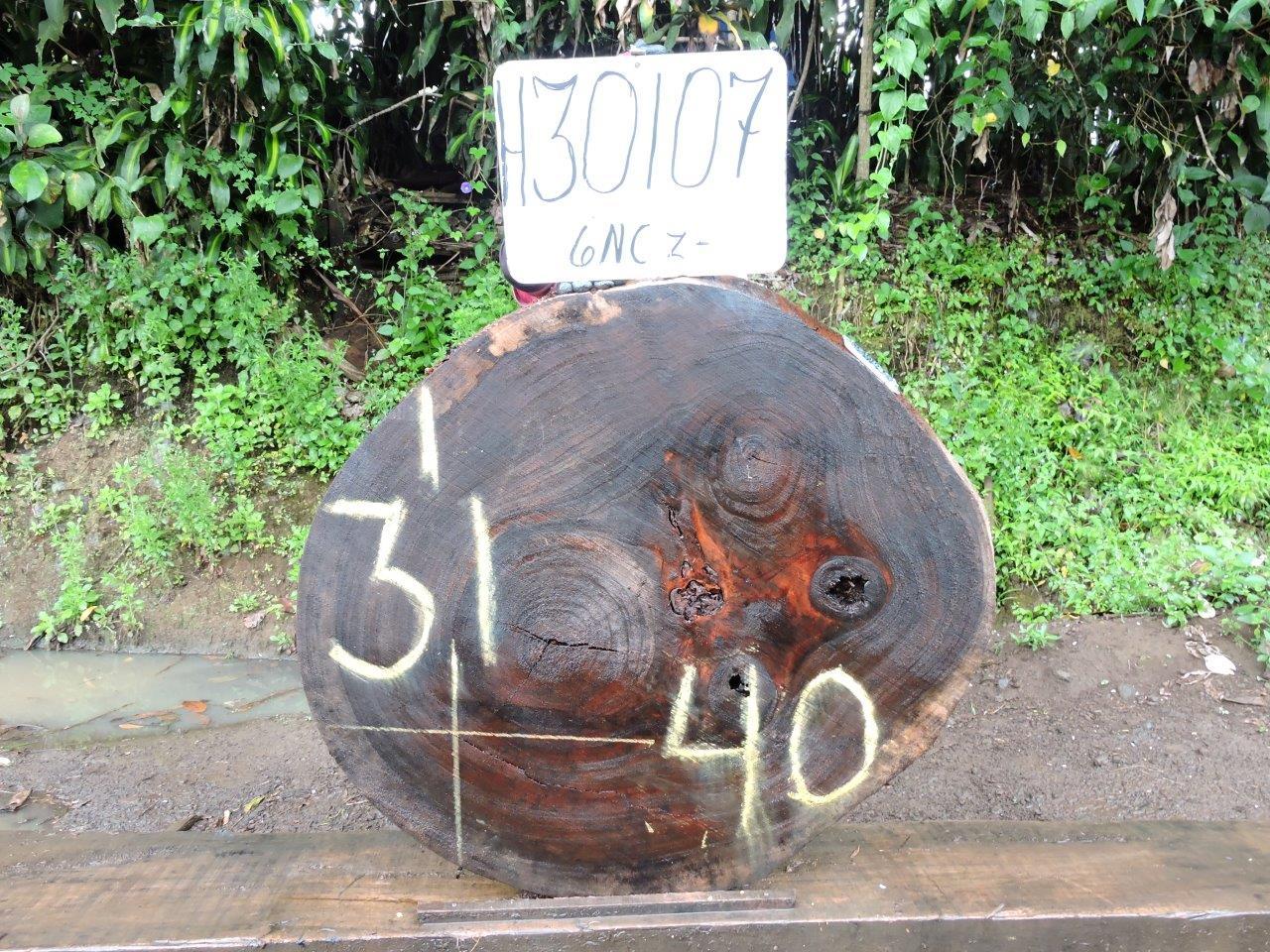 Image of PAROTA - 40x31x2 Inches - H30107GNC - a live edge PAROTA slab, 40 Inches long, 31 Inches wide, and 2 Inches thick.