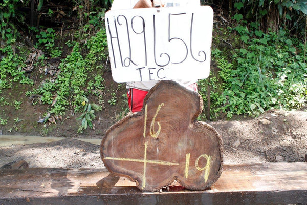 Image of TEAK - 19x16x2 Inches - H29656TEC - a live edge TEAK slab, 19 Inches long, 16 Inches wide, and 2 Inches thick.