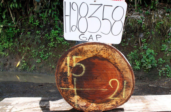 Image of JATOBA - 21x15x2 Inches - H28358GAP - a live edge JATOBA slab, 21 Inches long, 15 Inches wide, and 2 Inches thick.