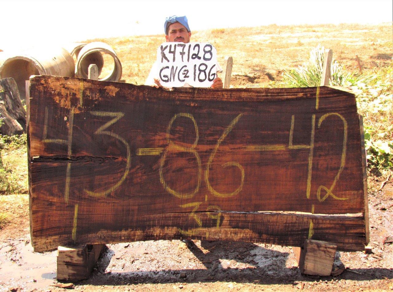 Image of PAROTA - 86x41x2 Inches - K47128GNC - a live edge PAROTA slab, 86 Inches long, 41 Inches wide, and 2 Inches thick.