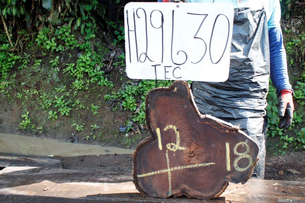 Image of TEAK - 18x12x2 Inches - H29630TEC - a live edge TEAK slab, 18 Inches long, 12 Inches wide, and 2 Inches thick.
