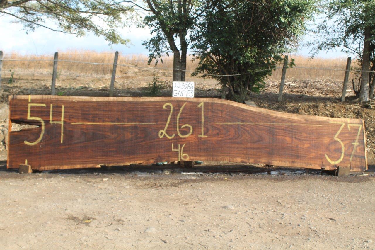 Image of PAROTA - 261x46x3 Inches - J23386GNC - a live edge PAROTA slab, 261 Inches long, 46 Inches wide, and 3 Inches thick.