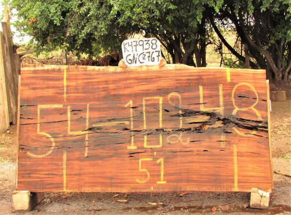 Image of PAROTA - 102x51x2 Inches - K47938GNC - a live edge PAROTA slab, 102 Inches long, 51 Inches wide, and 2 Inches thick.