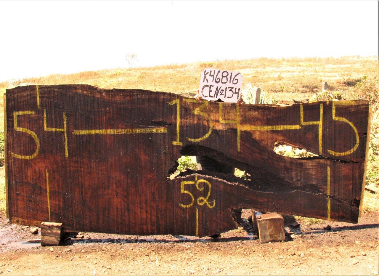 Image of MONKEY POD - 134x50x2 Inches - K46816CEN - a live edge MONKEY POD slab, 134 Inches long, 50 Inches wide, and 2 Inches thick.