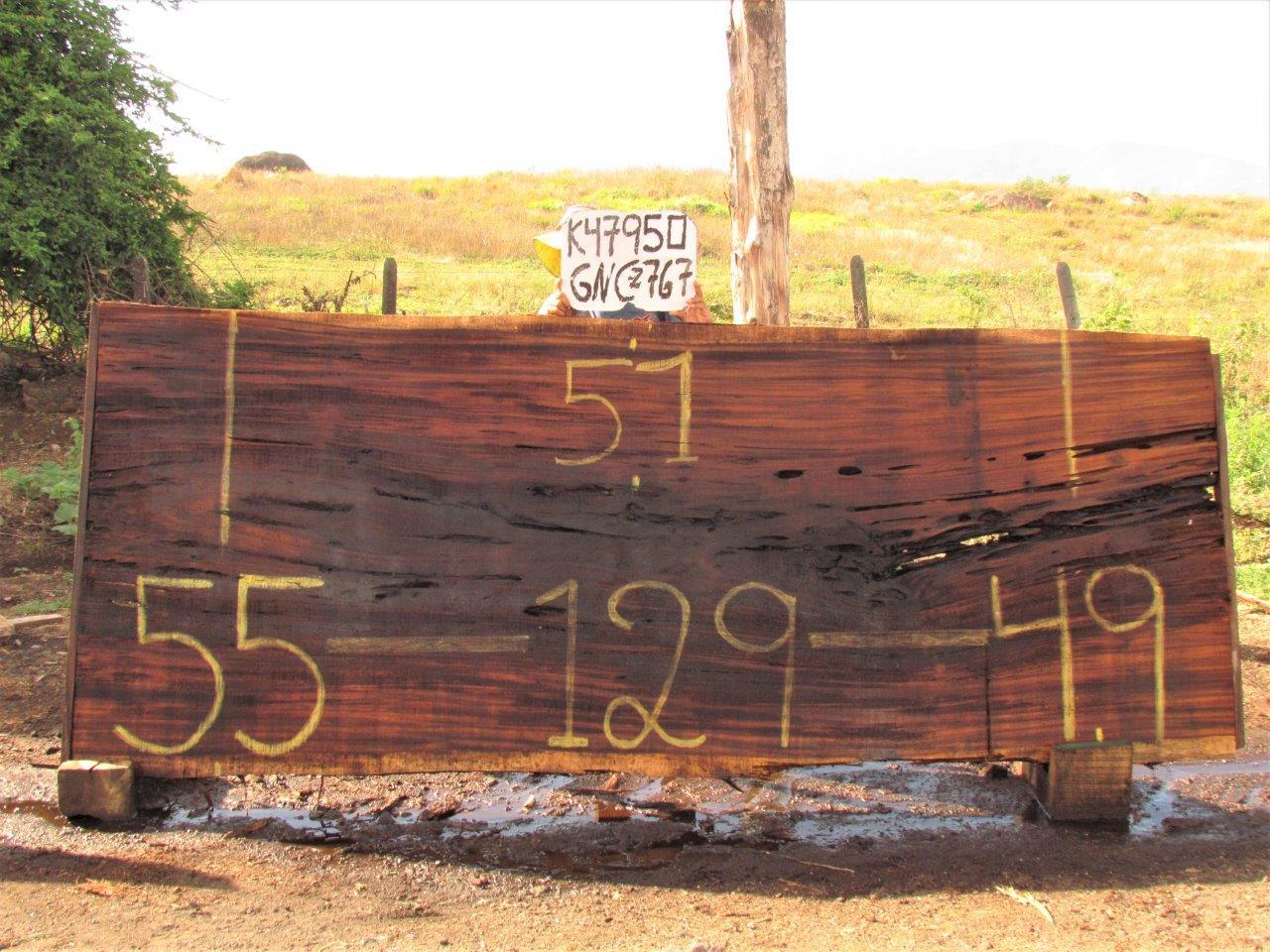 Image of PAROTA - 129x52x2 Inches - K47950GNC - a live edge PAROTA slab, 129 Inches long, 52 Inches wide, and 2 Inches thick.