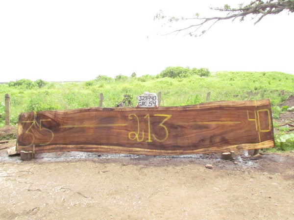 Image of PAROTA - 213x38x3 Inches - J23940GNC - a live edge PAROTA slab, 213 Inches long, 38 Inches wide, and 3 Inches thick.