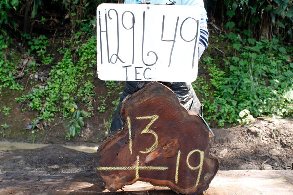 Image of TEAK - 19x13x2 Inches - H29649TEC - a live edge TEAK slab, 19 Inches long, 13 Inches wide, and 2 Inches thick.