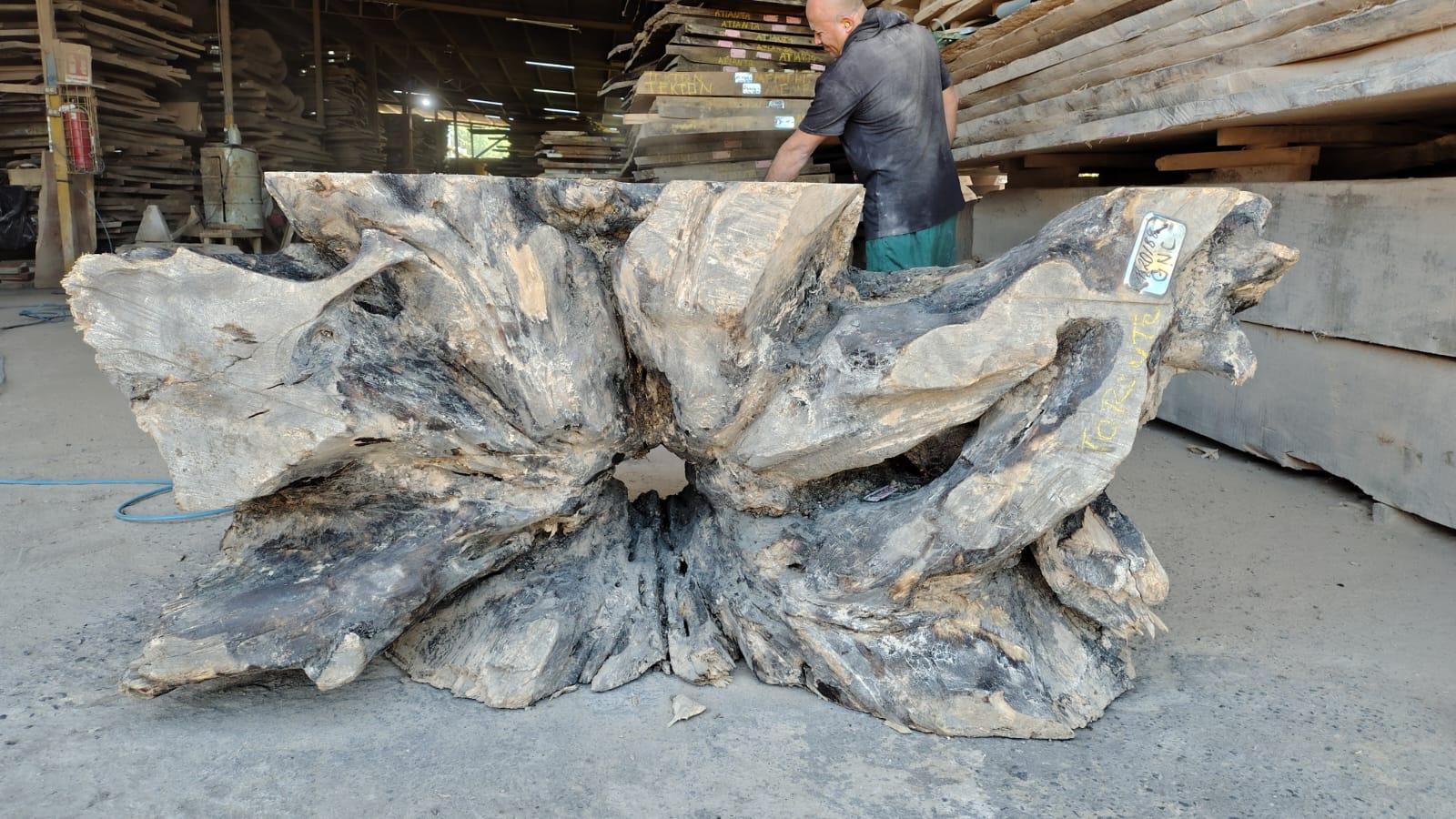 Image of PAROTA - 60x31x30 Inches - R20188GNC - a live edge PAROTA slab, 60 Inches long, 31 Inches wide, and 30 Inches thick.