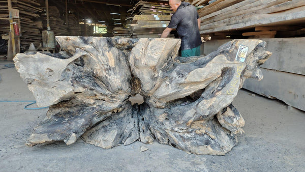 Image of PAROTA - 60x31x30 Inches - R20188GNC - a live edge PAROTA slab, 60 Inches long, 31 Inches wide, and 30 Inches thick.