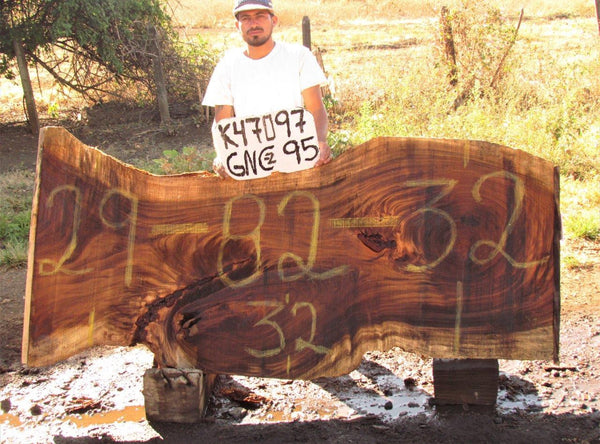 Image of PAROTA - 82x31x2 Inches - K47097GNC - a live edge PAROTA slab, 82 Inches long, 31 Inches wide, and 2 Inches thick.