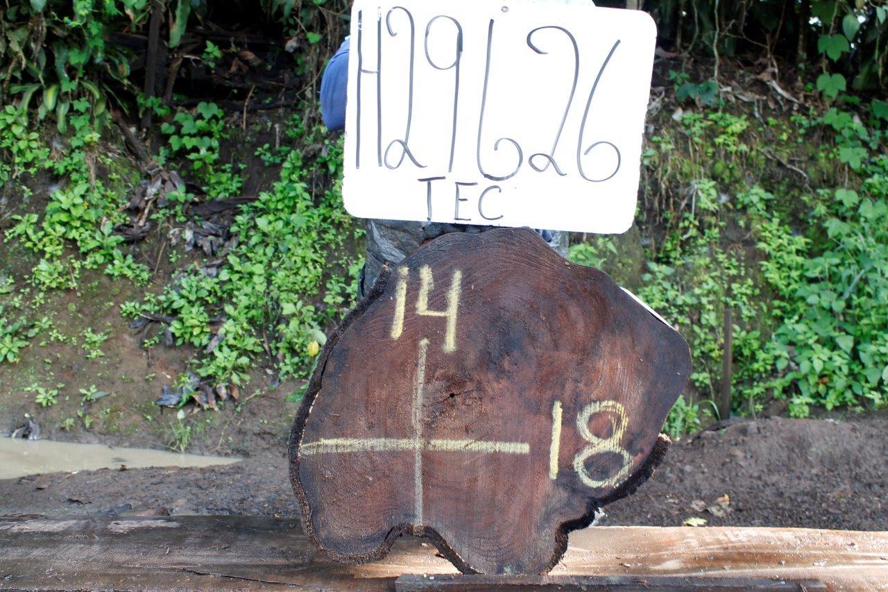 Image of TEAK - 18x14x2 Inches - H29626TEC - a live edge TEAK slab, 18 Inches long, 14 Inches wide, and 2 Inches thick.