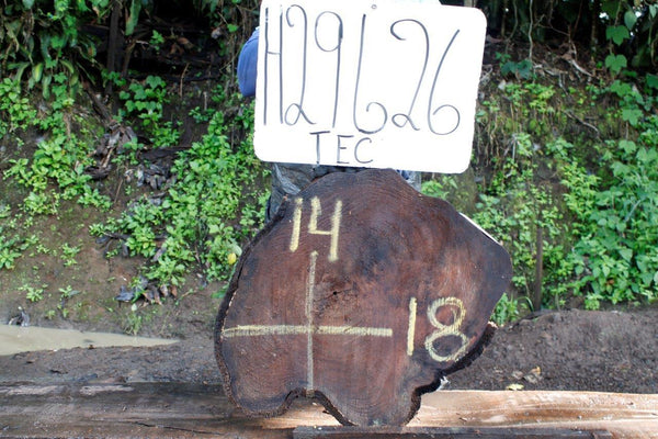 Image of TEAK - 18x14x2 Inches - H29626TEC - a live edge TEAK slab, 18 Inches long, 14 Inches wide, and 2 Inches thick.