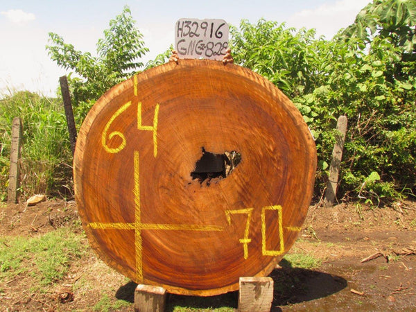 Image of PAROTA - 70x64x3 Inches - H32916GNC - a live edge PAROTA slab, 70 Inches long, 64 Inches wide, and 3 Inches thick.