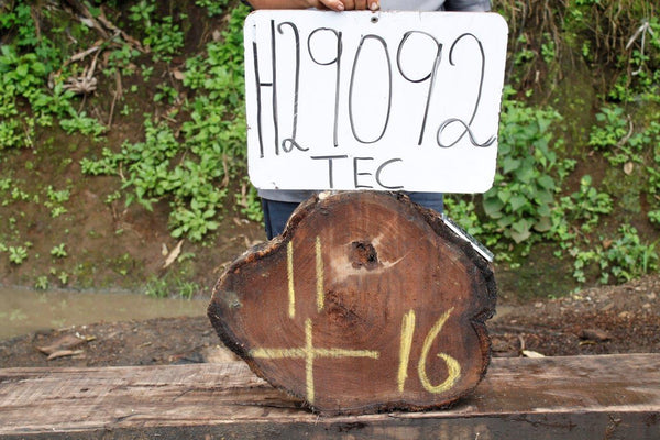 Image of TEAK - 16x11x2 Inches - H29092TEC - a live edge TEAK slab, 16 Inches long, 11 Inches wide, and 2 Inches thick.