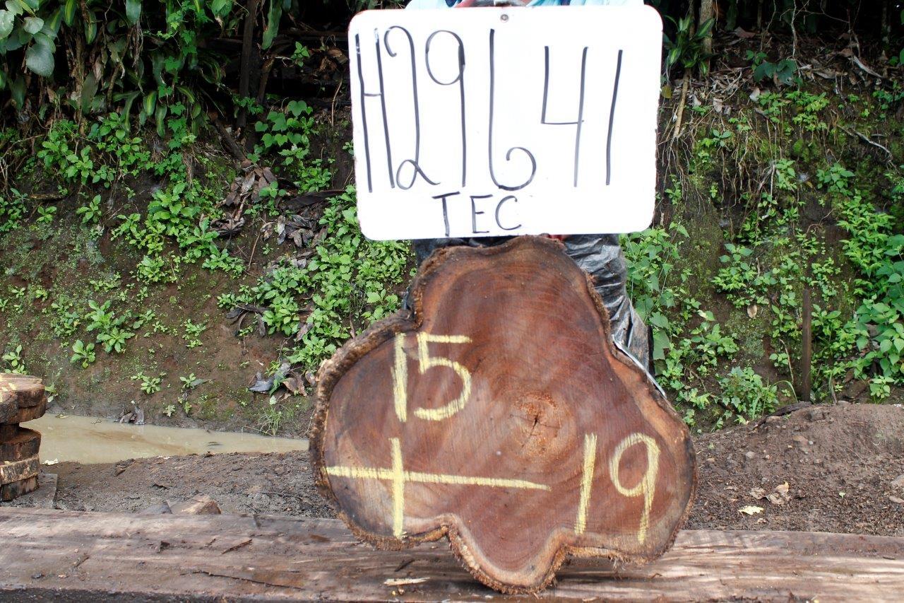 Image of TEAK - 19x15x2 Inches - H29641TEC - a live edge TEAK slab, 19 Inches long, 15 Inches wide, and 2 Inches thick.