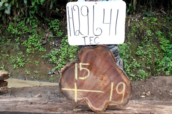 Image of TEAK - 19x15x2 Inches - H29641TEC - a live edge TEAK slab, 19 Inches long, 15 Inches wide, and 2 Inches thick.