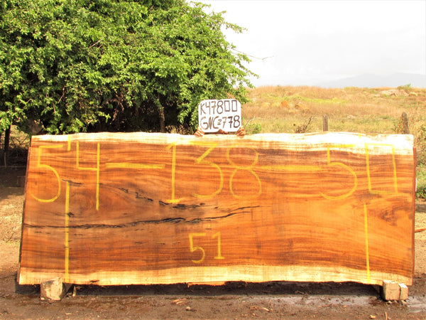 Image of PAROTA - 138x52x2 Inches - K47800GNC - a live edge PAROTA slab, 138 Inches long, 52 Inches wide, and 2 Inches thick.