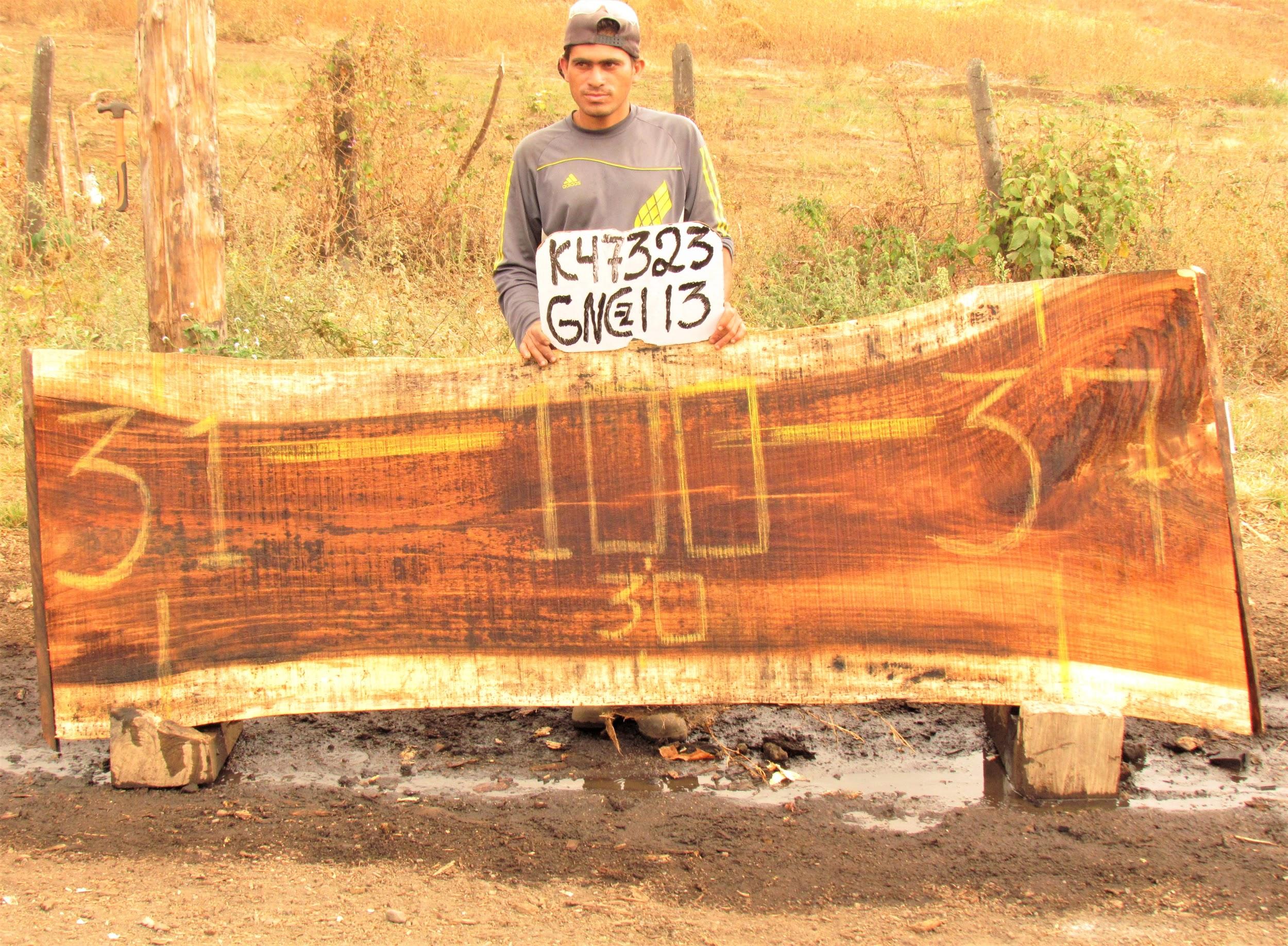 Image of PAROTA - 100x33x2 Inches - K47323GNC - a live edge PAROTA slab, 100 Inches long, 33 Inches wide, and 2 Inches thick.
