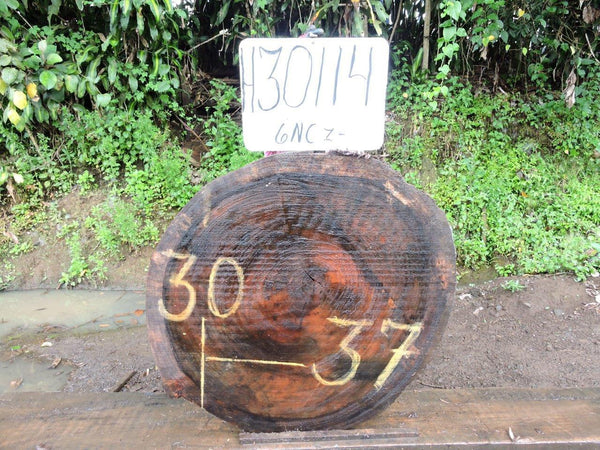 Image of PAROTA - 37x30x2 Inches - H30114GNC - a live edge PAROTA slab, 37 Inches long, 30 Inches wide, and 2 Inches thick.