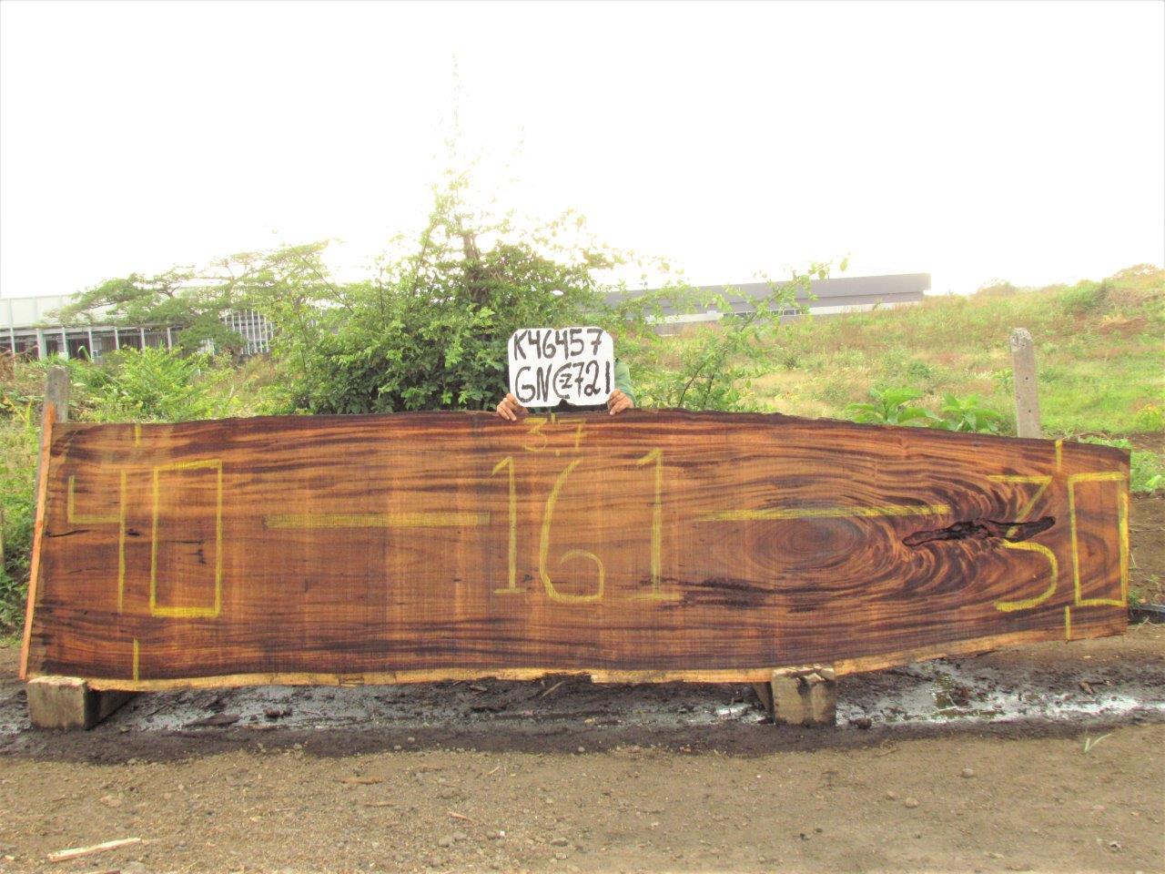 Image of PAROTA - 161x36x2 Inches - K46457GNC - a live edge PAROTA slab, 161 Inches long, 36 Inches wide, and 2 Inches thick.