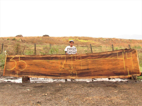 Image of PAROTA - 214x39x2 Inches - K47423GNC - a live edge PAROTA slab, 214 Inches long, 39 Inches wide, and 2 Inches thick.