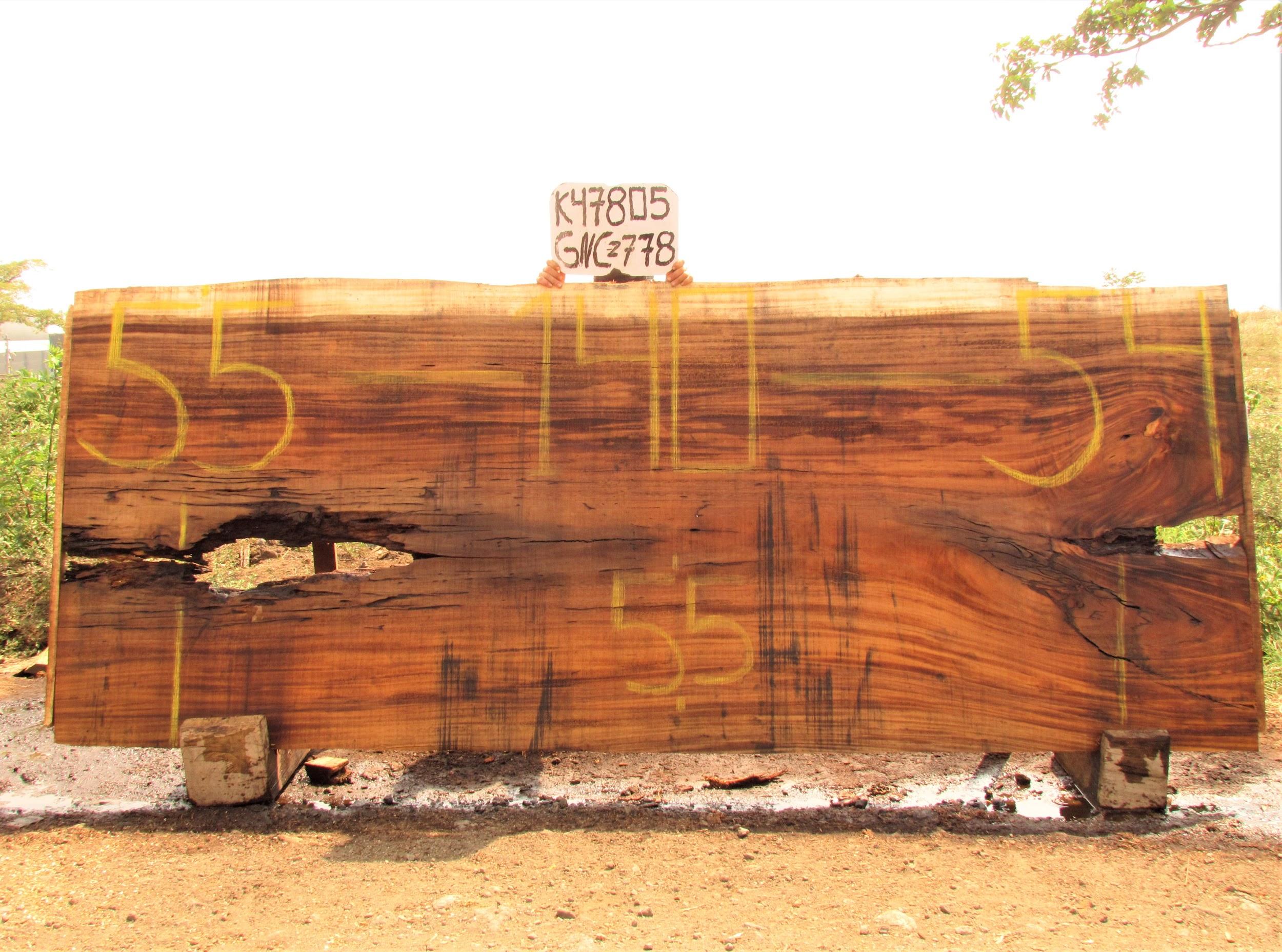 Image of PAROTA - 140x55x2 Inches - K47805GNC - a live edge PAROTA slab, 140 Inches long, 55 Inches wide, and 2 Inches thick.