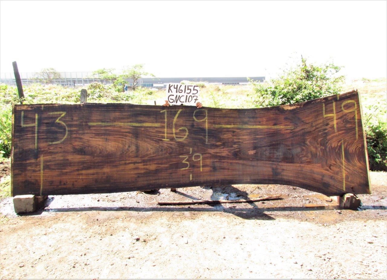 Image of PAROTA - 169x44x2 Inches - K46155GNC - a live edge PAROTA slab, 169 Inches long, 44 Inches wide, and 2 Inches thick.
