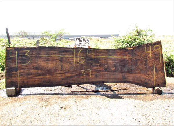 Image of PAROTA - 169x44x2 Inches - K46155GNC - a live edge PAROTA slab, 169 Inches long, 44 Inches wide, and 2 Inches thick.