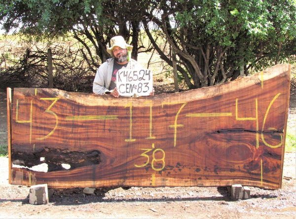 Image of MONKEY POD - 117x42x2 Inches - K46524CEN - a live edge MONKEY POD slab, 117 Inches long, 42 Inches wide, and 2 Inches thick.