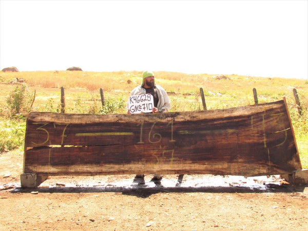 Image of PAROTA - 161x39x2 Inches - K46628GNC - a live edge PAROTA slab, 161 Inches long, 39 Inches wide, and 2 Inches thick.