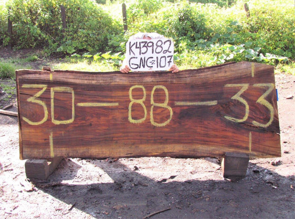 Image of PAROTA - 88x32x2 Inches - K43982GNC - a live edge PAROTA slab, 88 Inches long, 32 Inches wide, and 2 Inches thick.