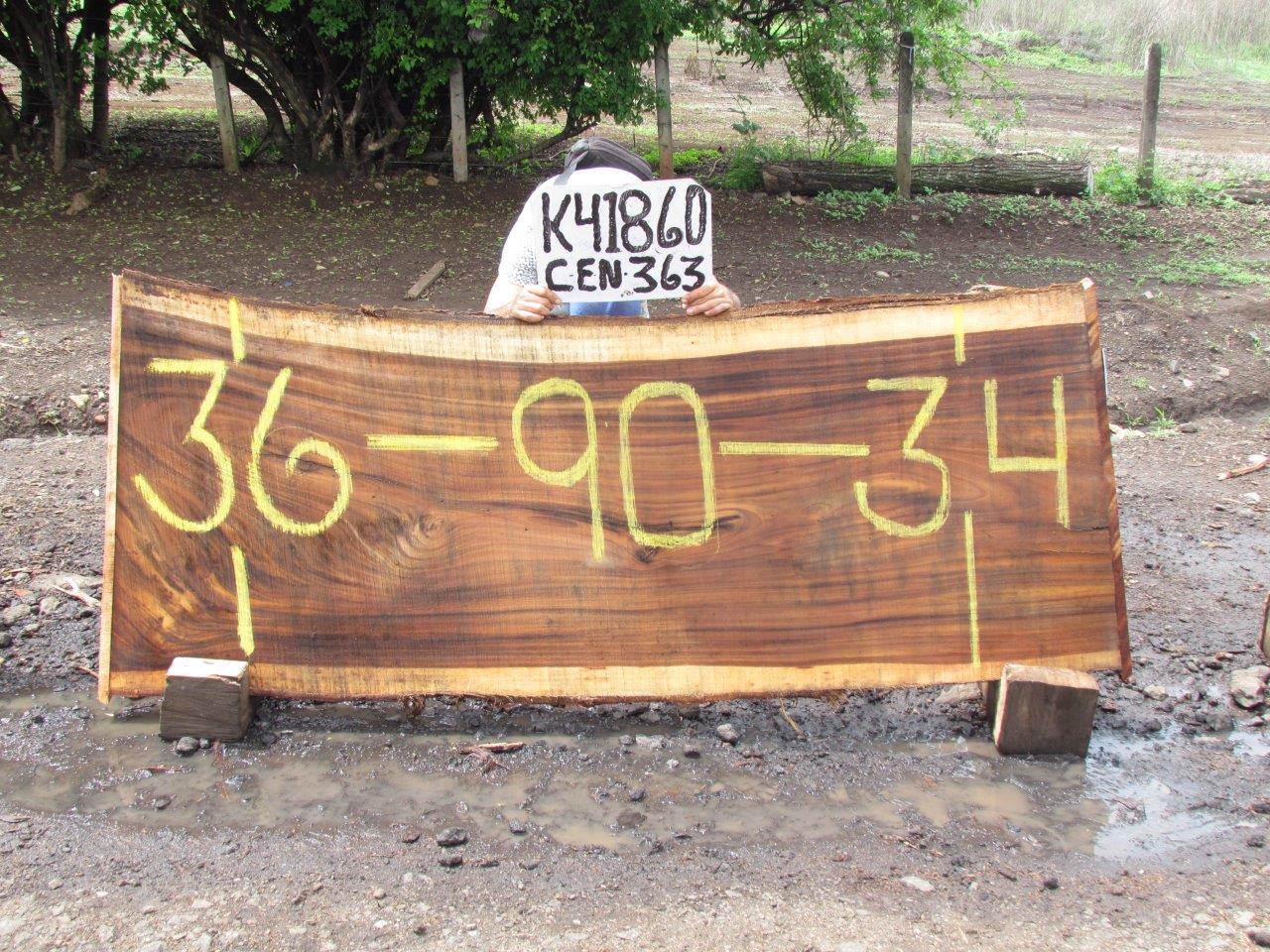 Image of MONKEY POD - 90x35x2 Inches - K41860CEN - a live edge MONKEY POD slab, 90 Inches long, 35 Inches wide, and 2 Inches thick.