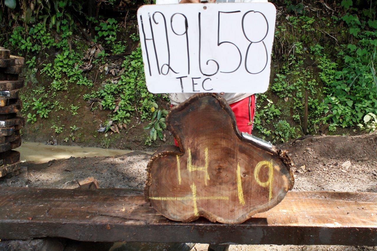 Image of TEAK - 19x14x2 Inches - H29658TEC - a live edge TEAK slab, 19 Inches long, 14 Inches wide, and 2 Inches thick.