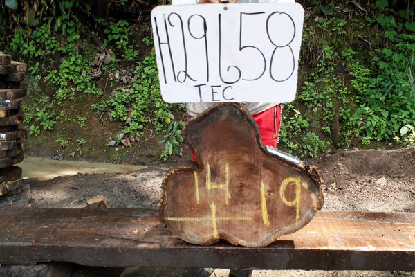 Image of TEAK - 19x14x2 Inches - H29658TEC - a live edge TEAK slab, 19 Inches long, 14 Inches wide, and 2 Inches thick.