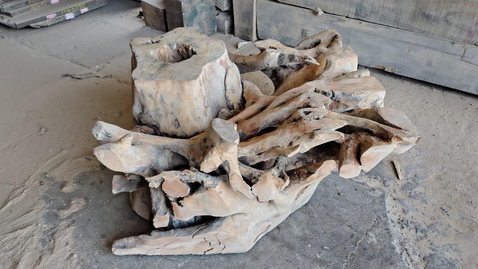 Image of POCHOTE - 47x47x25 Inches - R20119POC - a live edge POCHOTE slab, 47 Inches long, 47 Inches wide, and 25 Inches thick.