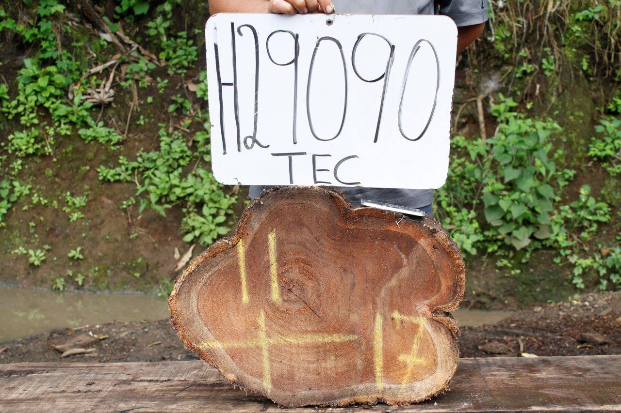 Image of TEAK - 17x11x2 Inches - H29090TEC - a live edge TEAK slab, 17 Inches long, 11 Inches wide, and 2 Inches thick.