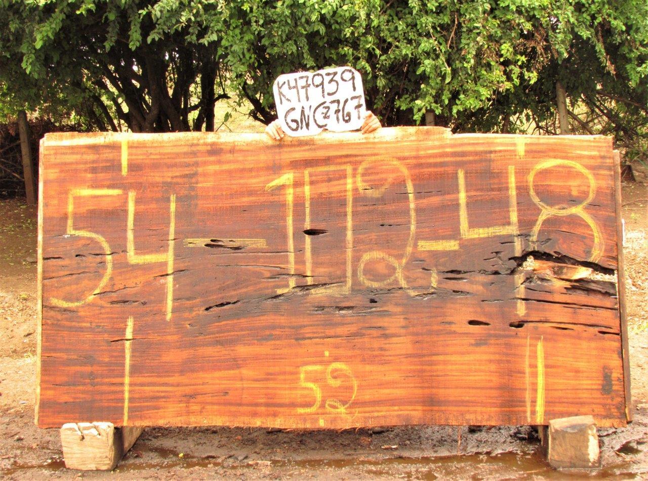 Image of PAROTA - 102x51x2 Inches - K47939GNC - a live edge PAROTA slab, 102 Inches long, 51 Inches wide, and 2 Inches thick.