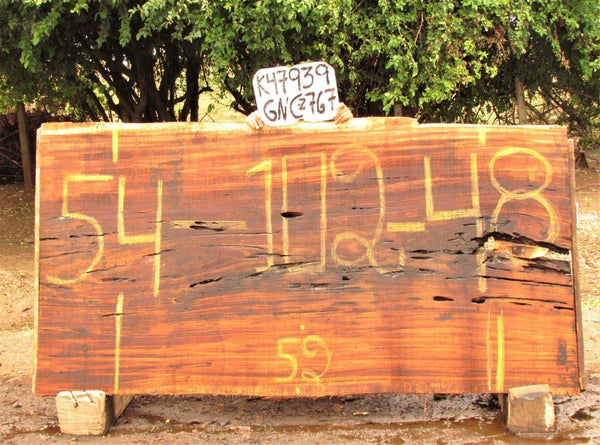 Image of PAROTA - 102x51x2 Inches - K47939GNC - a live edge PAROTA slab, 102 Inches long, 51 Inches wide, and 2 Inches thick.