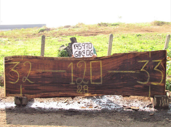 Image of PAROTA - 120x31x2 Inches - K45970GNC - a live edge PAROTA slab, 120 Inches long, 31 Inches wide, and 2 Inches thick.