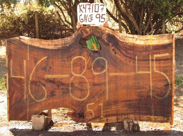 Image of PAROTA - 89x47x2 Inches - K47107GNC - a live edge PAROTA slab, 89 Inches long, 47 Inches wide, and 2 Inches thick.