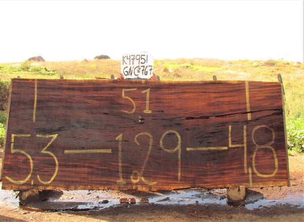 Image of PAROTA - 129x51x2 Inches - K47951GNC - a live edge PAROTA slab, 129 Inches long, 51 Inches wide, and 2 Inches thick.