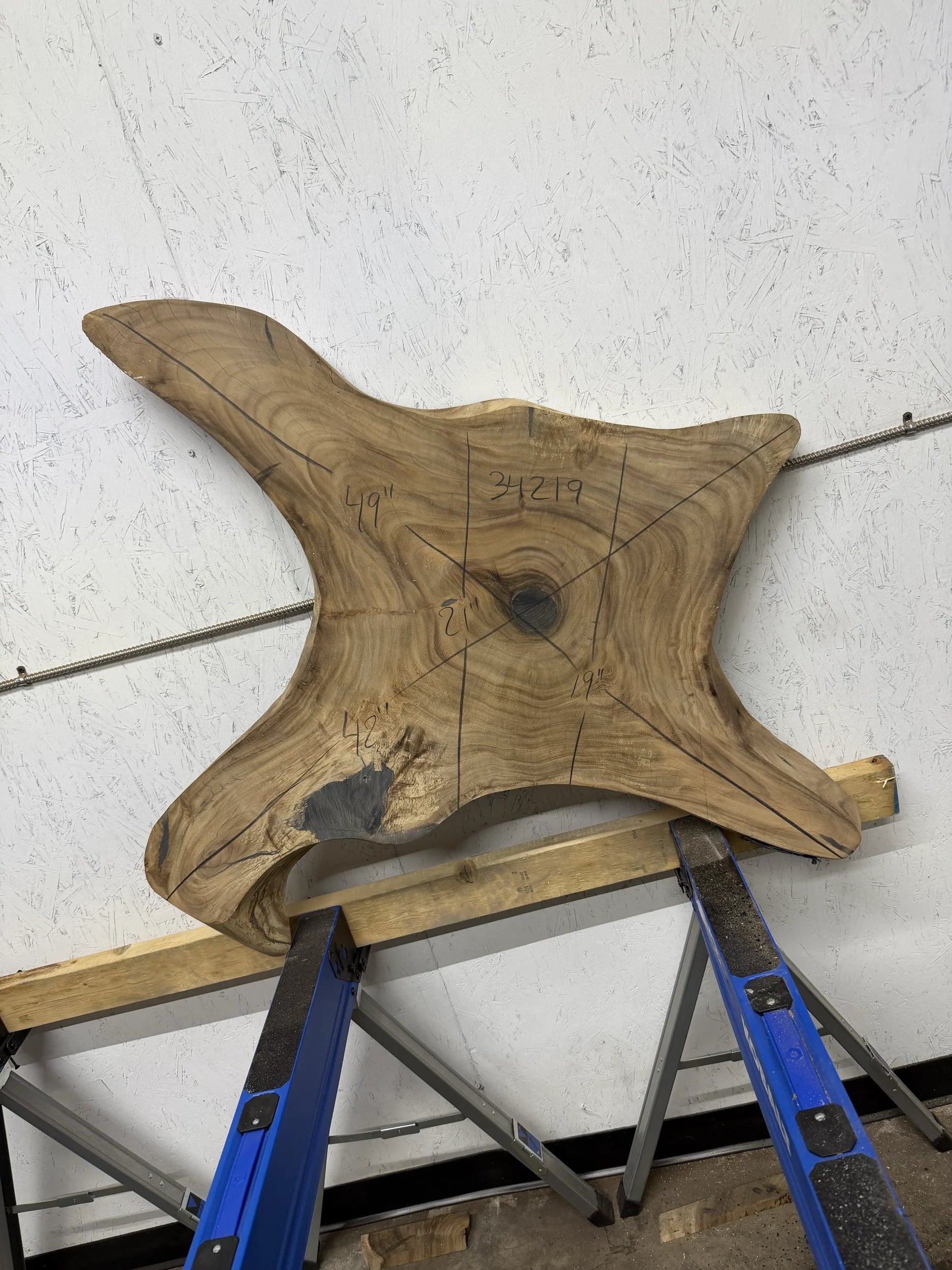 Monkey Pod live edge round wood slab 

