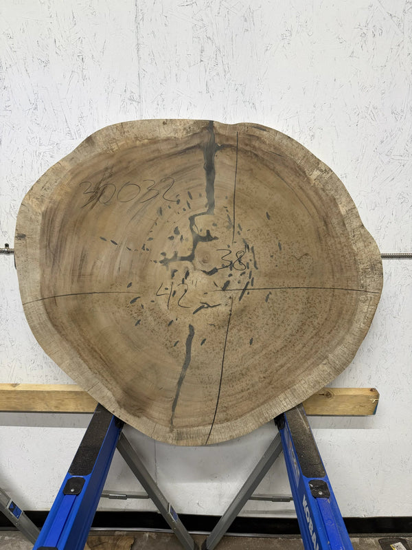 Round Parota live edge wood slab with a central cutout, leaning against a white brick wall on a wooden floor.

38x42