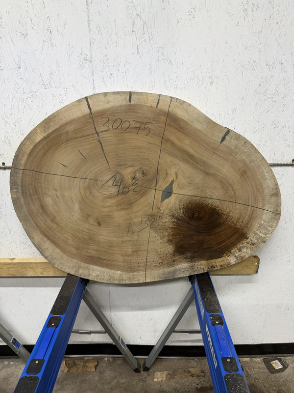 Round Parota live edge wood slab with a central cutout, leaning against a white brick wall on a wooden floor.

46.5x32